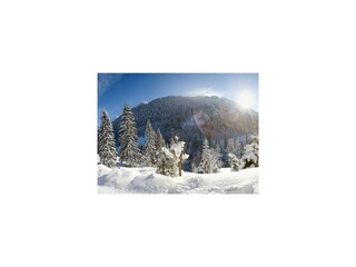 Wellnesswinter