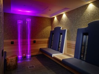Infrarot Heulounge