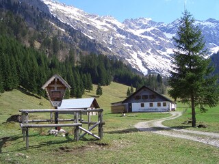 Holiday apartment Bad Hindelang Environment 25