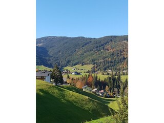 Das schöne Wildental