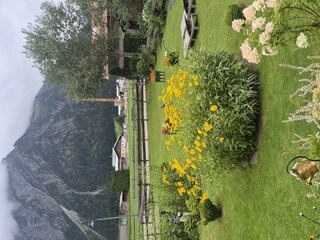 Blumen im Herbst