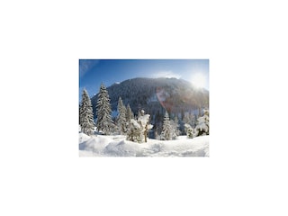 Wellnesswinter