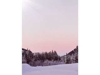 IMG_20240112_170015_edit_202133032739468_resized_2