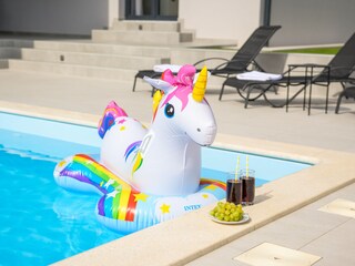 Villa Juršići Ambiente 32