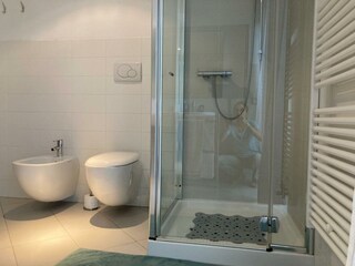 Detailansicht des Badezimmers: Dusche