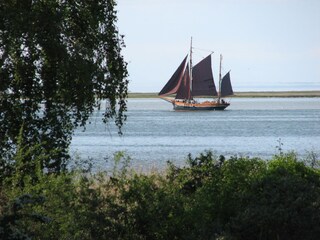 Zeesenboot auf dem Bodden