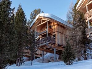 Holiday park Chalet in Turracher Höhe near Ski Slopes