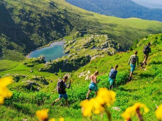 Vakantiepark Turracherhöhe Omgeving 38