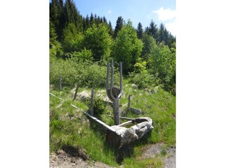 Casa per le vacanze Jungholz Ambiente 24