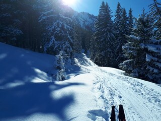 Casa per le vacanze Jungholz Ambiente 32