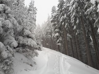 Casa per le vacanze Jungholz Ambiente 33