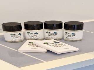 Ferienpark Laren (Nordholland)  31