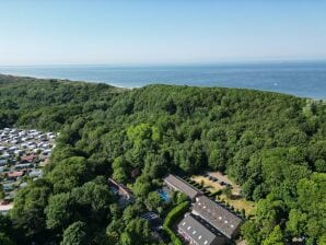 Ferienhaus am Fuße der Dünen! BG05 - Niederlande - image1