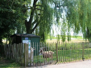 Vakantiehuis Moerkapelle  32