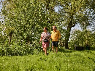 Maison de vacances Moerkapelle Environnement 17