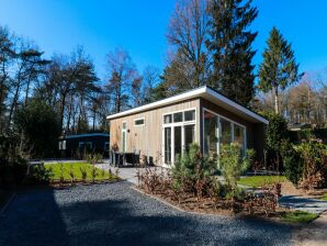 Vakantiepark Sfeervol chalet met terras te midden van de veluwe - Hoenderloo - image1