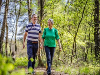 Vakantiepark Hoenderloo Omgeving 12
