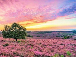 Vakantiepark Hoenderloo Omgeving 16