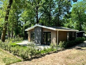 Holiday park Nice chalet with a wooded location on the Veluwe - Hoenderloo - image1