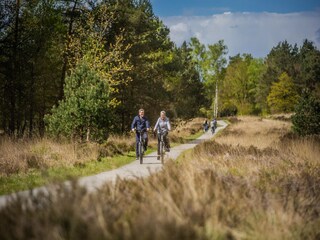 Ferienpark Hoenderloo Umgebung 13