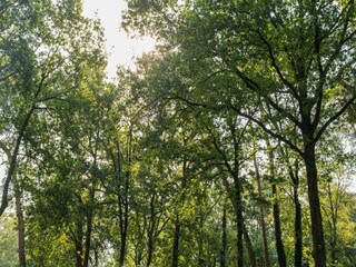 Parco vacanze Hoenderloo Ambiente 18