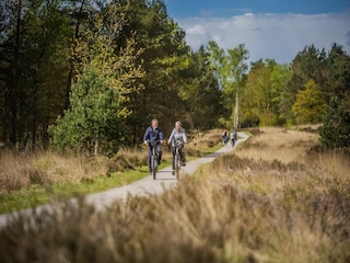 Parc de vacances Hoenderloo Environnement 18