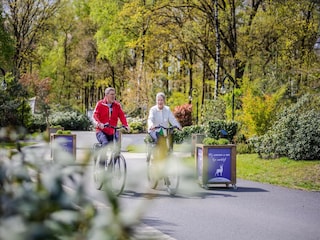Vakantiepark Hoenderloo  35