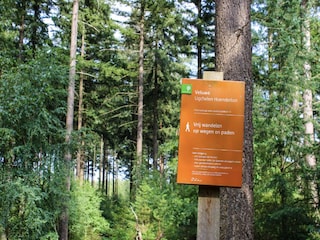 Holiday park Hoenderloo  34