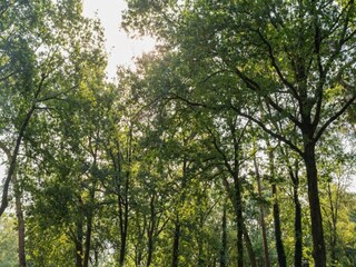 Ferienpark Hoenderloo Umgebung 13