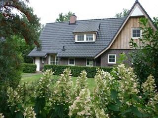 Vakantiepark Lemele Buitenaudio-opname 2