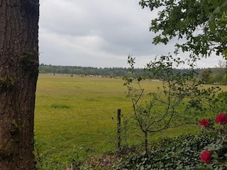 Parc de vacances Hellendoorn Environnement 23