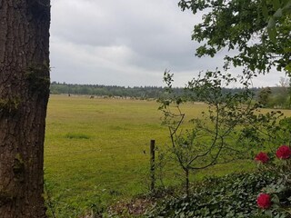 Vakantiepark Hellendoorn Omgeving 23