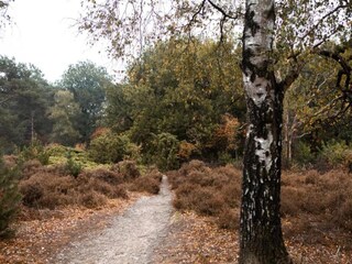 Parco vacanze Hellendoorn Ambiente 12