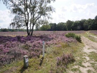 Parque de vacaciones Hellendoorn Entorno 15