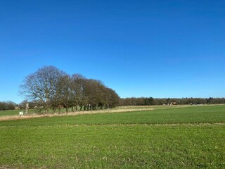 Vakantiepark Holten Omgeving 43