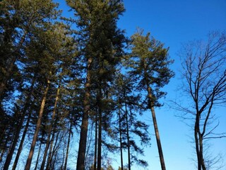 Parc de vacances Holten Environnement 45