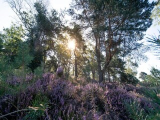 Vakantiepark Holten Omgeving 50