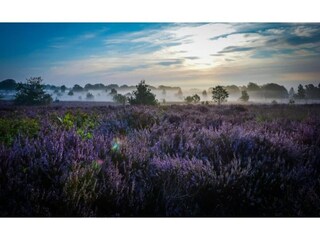 Vakantiepark Holten Omgeving 12