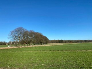 Vakantiepark Holten Omgeving 28