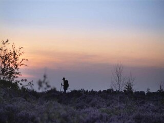 Vakantiepark Holten Omgeving 34