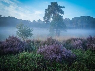 Vakantiepark Holten Omgeving 30