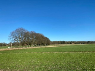Parc de vacances Holten Environnement 14
