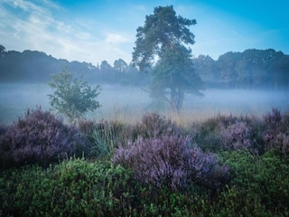 Parc de vacances Holten Environnement 27