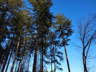 Parc de vacances Holten Environnement 16