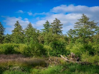 Parc de vacances Holten Environnement 27