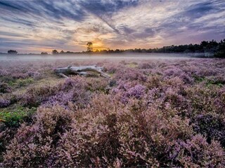 Vakantiepark Holten Omgeving 11