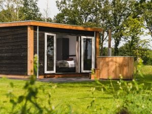 Vakantiepark Wellness chalet met sauna, aan Sallandse Heuvelrug - Holten - image1