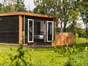 Vakantiepark Wellness chalet met sauna, aan Sallandse Heuvelrug - Holten - image1