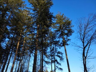 Parc de vacances Holten Environnement 19