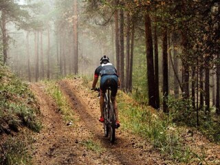 Vakantiepark Holten Omgeving 15